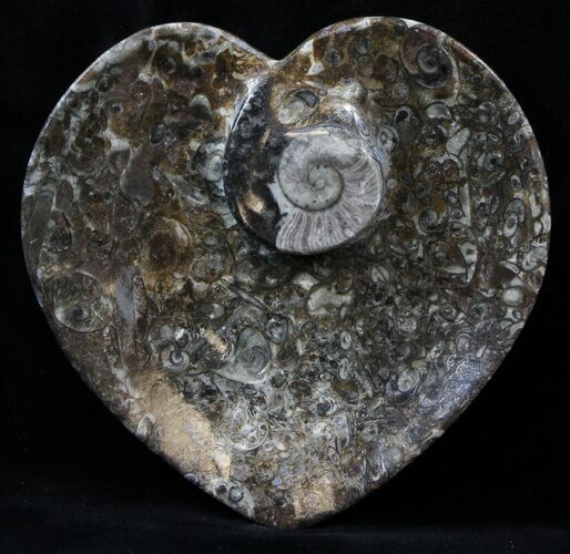 Heart Shaped Fossil Goniatite Dish #39325